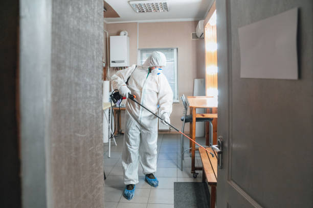 Best Black Mold Removal  in Lake Leann, MI