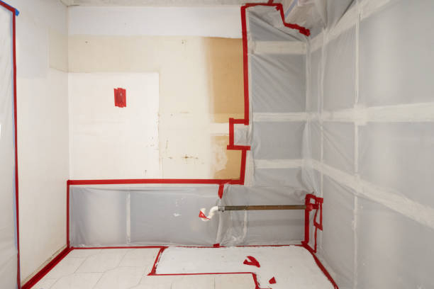 Best Basement Mold Removal  in Lake Leann, MI