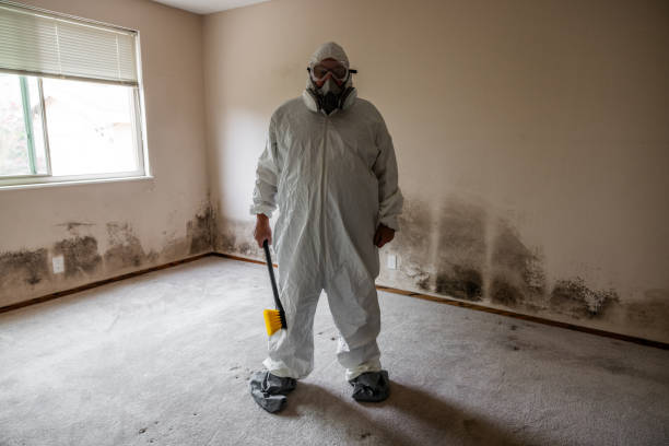 Best Mold Remediation for Healthcare Facilities  in Lake Leann, MI